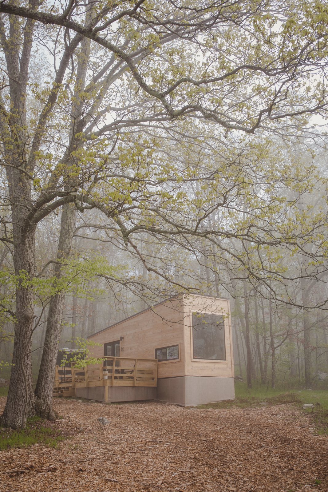 The cabin seen at a distance through bare trees, sitting low against the slope